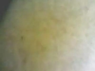 ਅਸੀਂ ਕਿਊਬਨੀਟਾਸ ਵੀਡੀਓ ਨੂੰ ਪਿਆਰ ਕਰਦੇ ਹਾਂ (ਵੀਨਸ)