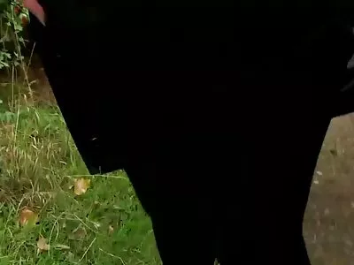 ਨਵਾਂ ਇੰਟਰਨ, ਨਵਾਂ ਕਮ ਟੂ ਟੇਸਟ ਵੀਡੀਓ (ਆਈਸਿਸ ਟੇਲਰ)