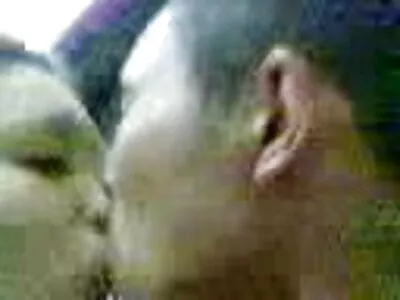 ਹੋਲੀ ਡੇ ਵੀਡੀਓ (ਹੋਲੀ ਨੋਵੇਲ)